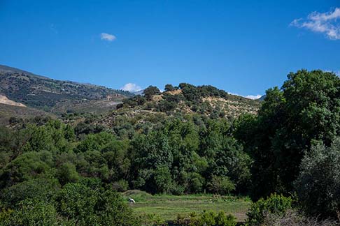 Fotografía Prado 2 Alpujarra Granadina - Sandra Cartellone - Palitroque Artesanía 294x196 Fotografía Prado 2 Alpujarra Granadina - Sandra Cartellone - Palitroque Artesanía