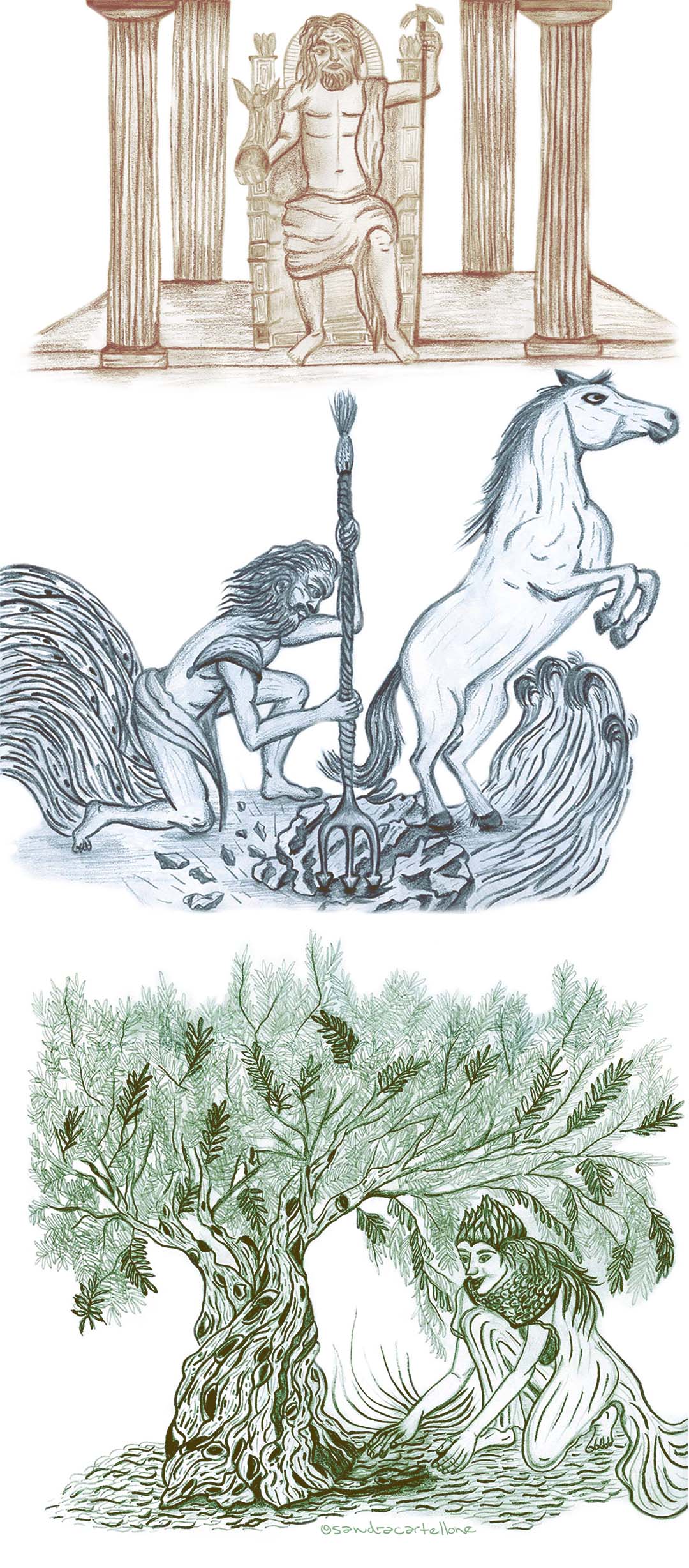 Orígenes del olivo - Palitroque Artesanía - Mito Griego Creación del Olivo. Ilustrado por Sandra Cartellone 1080x2455 Orígenes del olivo - Palitroque Artesanía - Mito Griego Creación de Atenas. Ilustrado por Sandra Cartellone