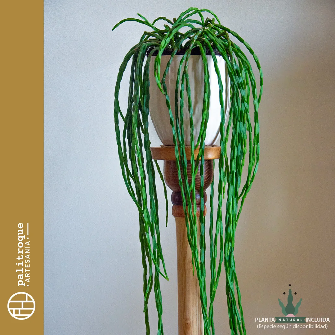 Totem - Pedestal Artesanal Tótem - Palitroque Artesanía - Planta